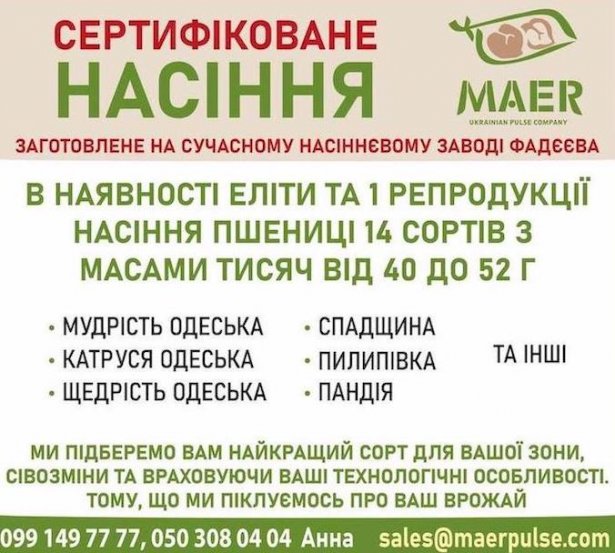 Посівний матеріал пшениці, сертифіковане насіння пшениці - фото 1