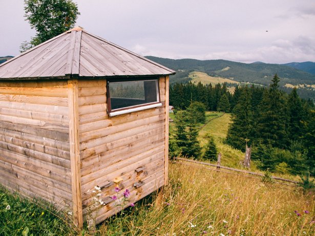 Бджолотерапія Верховинський район, с. Кривопілля - фото 2