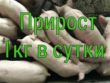 Биоудобрение 4К. Цена производителя - фото 1