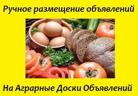 Ручне розміщення АГРО оголошень. Реклама в інтернеті для аграріїв. Сервіс розміщення оголошень на дошках. - фото 1