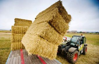 Під Хмельницьким збудують електростанцію на соломі